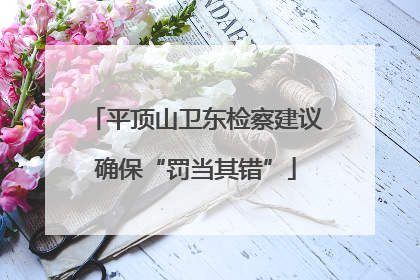 平顶山卫东检察建议确保“罚当其错”