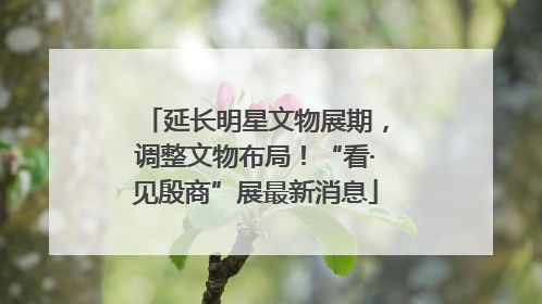 延长明星文物展期，调整文物布局！“看·见殷商”展最新消息