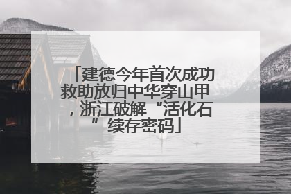 建德今年首次成功救助放归中华穿山甲，浙江破解“活化石”续存密码