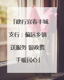 建行宜春丰城支行：偏远乡镇送服务 银政携手暖民心