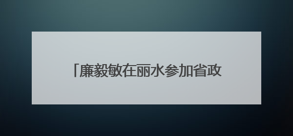 廉毅敏在丽水参加省政协“六送下乡”活动集中服务 凝心聚力增进民生福祉推进共同富裕