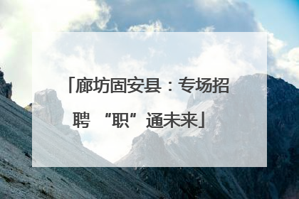 廊坊固安县：专场招聘 “职”通未来