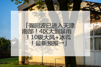 强回波已进入天津南部！4区大到暴雨！10级大风+冰雹！最新预报→