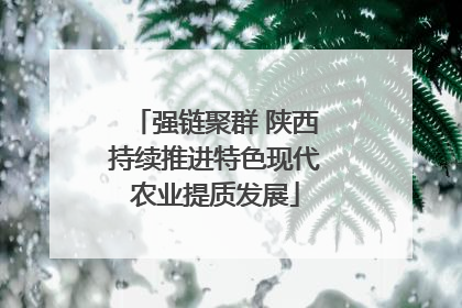 强链聚群 陕西持续推进特色现代农业提质发展