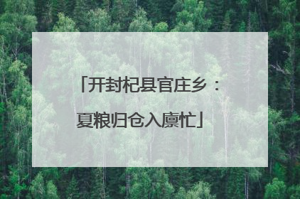开封杞县官庄乡：夏粮归仓入廪忙