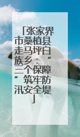 张家界市桑植县走马坪白族乡：“三个保障”筑牢防汛安全堤