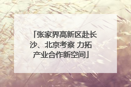 张家界高新区赴长沙、北京考察 力拓产业合作新空间