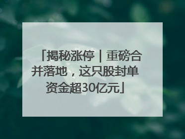 揭秘涨停｜重磅合并落地，这只股封单资金超30亿元