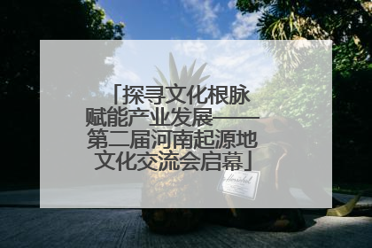 探寻文化根脉 赋能产业发展——第二届河南起源地文化交流会启幕