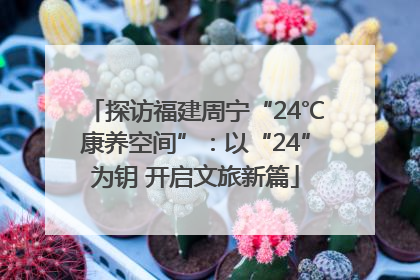探访福建周宁“24℃康养空间”：以“24”为钥 开启文旅新篇