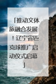 推动文体旅融合发展！辽宁省匹克球推广启动仪式启幕