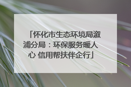 怀化市生态环境局溆浦分局：环保服务暖人心 信用帮扶伴企行