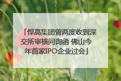 悍高集团曾两度收到深交所审核问询函 佛山今年首家IPO企业过会