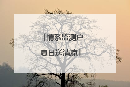 情系监测户 夏日送清凉
