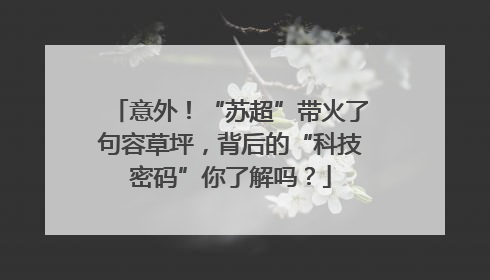 意外！“苏超”带火了句容草坪，背后的“科技密码”你了解吗？