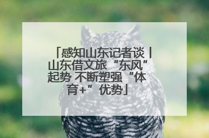 感知山东记者谈丨山东借文旅“东风”起势 不断塑强“体育+”优势