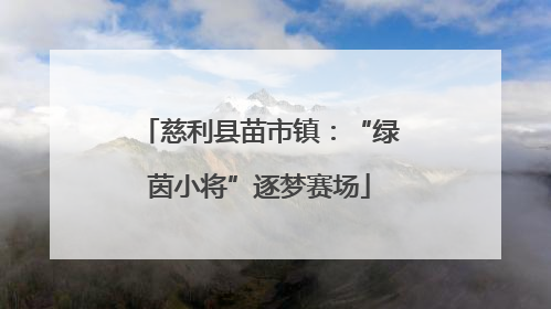 慈利县苗市镇：“绿茵小将”逐梦赛场