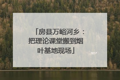 房县万峪河乡：把理论课堂搬到烟叶基地现场