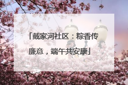 戴家河社区：粽香传廉意，端午共安康