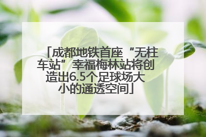 成都地铁首座“无柱车站”幸福梅林站将创造出6.5个足球场大小的通透空间
