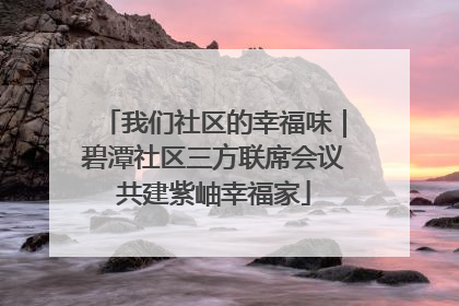 我们社区的幸福味｜碧潭社区三方联席会议共建紫岫幸福家