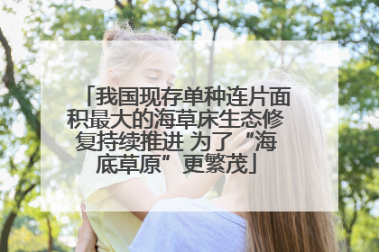 我国现存单种连片面积最大的海草床生态修复持续推进 为了“海底草原”更繁茂