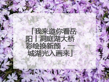我来邀你看岳阳丨洞庭湖大桥彩绘换新颜，一城湖光入画来