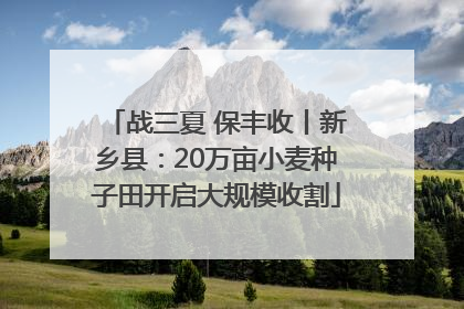 战三夏 保丰收丨新乡县：20万亩小麦种子田开启大规模收割
