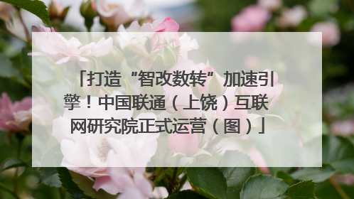 打造“智改数转”加速引擎！中国联通（上饶）互联网研究院正式运营（图）
