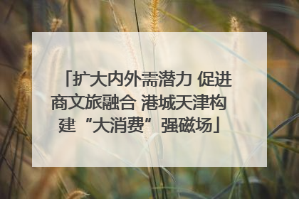 扩大内外需潜力 促进商文旅融合 港城天津构建“大消费”强磁场