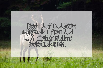 扬州大学以大数据赋能就业工作和人才培养 全链条就业帮扶畅通求职路