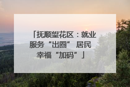 抚顺望花区：就业服务“出圈” 居民幸福“加码”