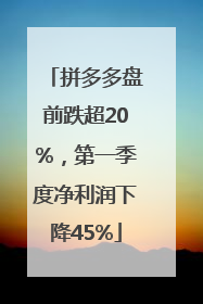 拼多多盘前跌超20%，第一季度净利润下降45%