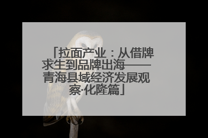 拉面产业：从借牌求生到品牌出海——青海县域经济发展观察·化隆篇