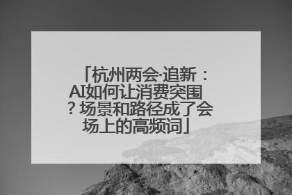 杭州两会·追新：AI如何让消费突围？场景和路径成了会场上的高频词