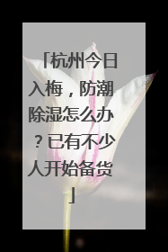 杭州今日入梅，防潮除湿怎么办？已有不少人开始备货
