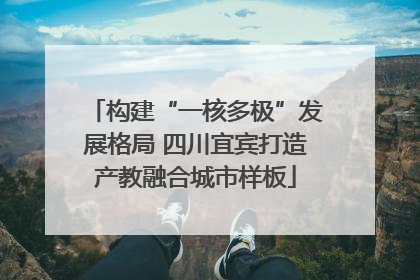 构建“一核多极”发展格局 四川宜宾打造产教融合城市样板