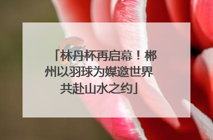 林丹杯再启幕！郴州以羽球为媒邀世界共赴山水之约