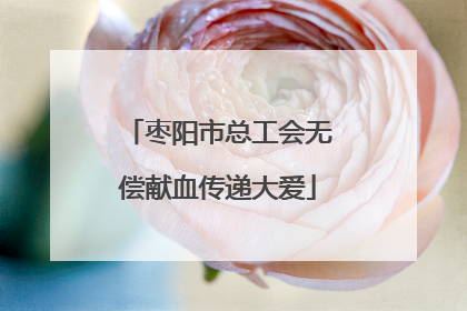 枣阳市总工会无偿献血传递大爱