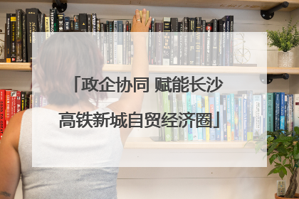政企协同 赋能长沙高铁新城自贸经济圈