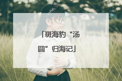斑海豹“汤圆”归海记