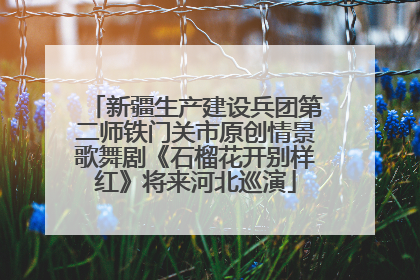 新疆生产建设兵团第二师铁门关市原创情景歌舞剧《石榴花开别样红》将来河北巡演