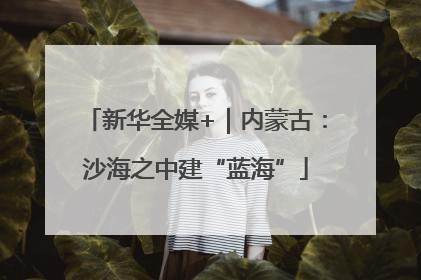 新华全媒+｜内蒙古：沙海之中建“蓝海”
