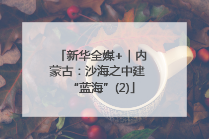 新华全媒+｜内蒙古：沙海之中建“蓝海”(2)