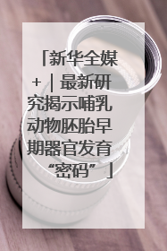 新华全媒+｜最新研究揭示哺乳动物胚胎早期器官发育“密码”