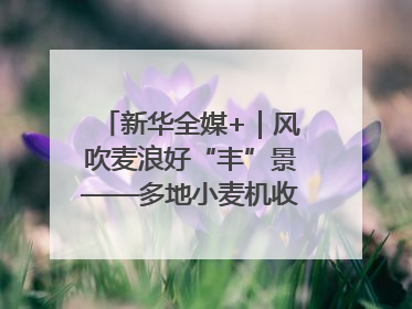 新华全媒+｜风吹麦浪好“丰”景——多地小麦机收一线见闻