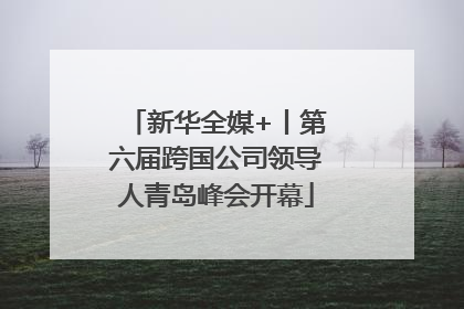 新华全媒+丨第六届跨国公司领导人青岛峰会开幕