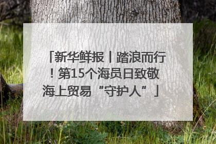 新华鲜报丨踏浪而行！第15个海员日致敬海上贸易“守护人”