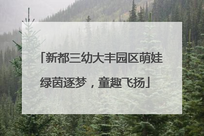 新都三幼大丰园区萌娃绿茵逐梦，童趣飞扬