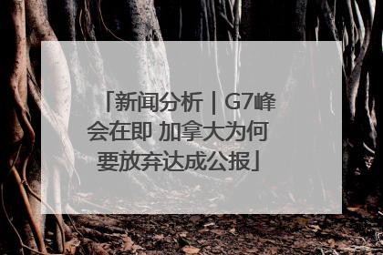 新闻分析｜G7峰会在即 加拿大为何要放弃达成公报